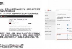 视频爆料规则有哪些类型,五大类型深度解析