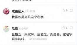 好听的娱乐爆料名字,揭秘好听的娱乐资讯，带你领略明星幕后故事